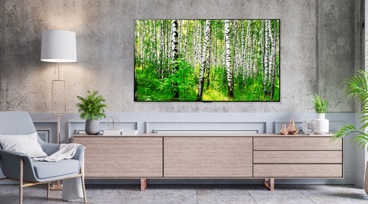 More About LG HDR Smart OLED Evo TV
